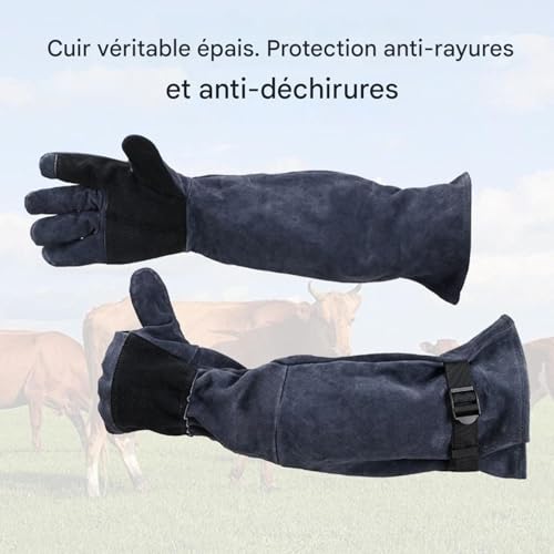 Gants anti-morsures pour chats pour manipuler sans blessure