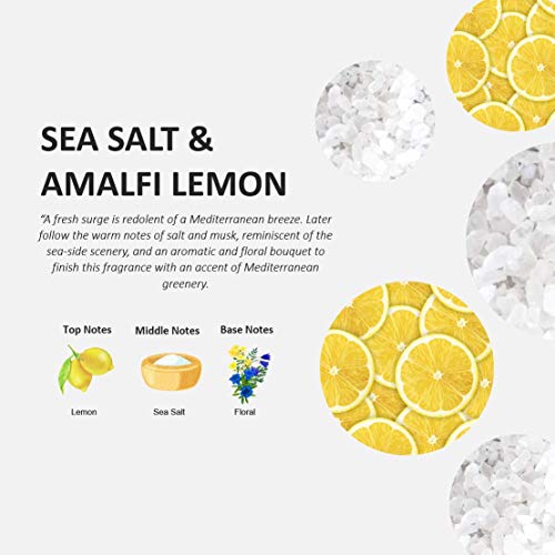 Fruits & Passion Cucina Dish Detergent Refill Sea Salt And Amalfi Lemon, 33.8 Oz #TOP1