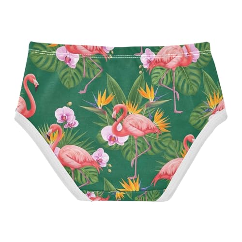 Pink Flamingos Toddler Girls Panties, Girls Panties, 2T–8 Years2