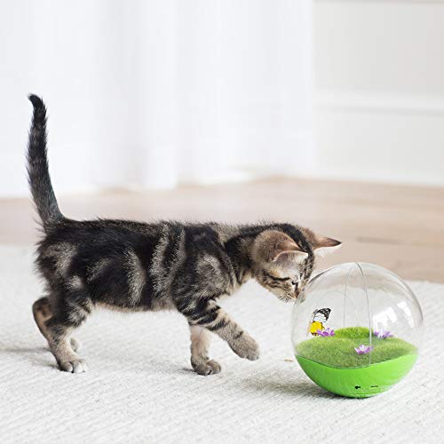 https://m.media-amazon.com/images/I/414izzfiPOL._SL500_.jpg