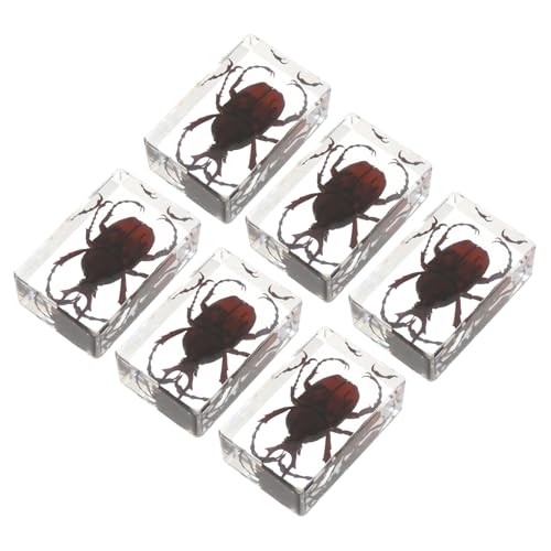 Alipis Intricate Resin Crafts: 6pcs Beetle Spider Scorpion Specimens Unique Decor for Home Office