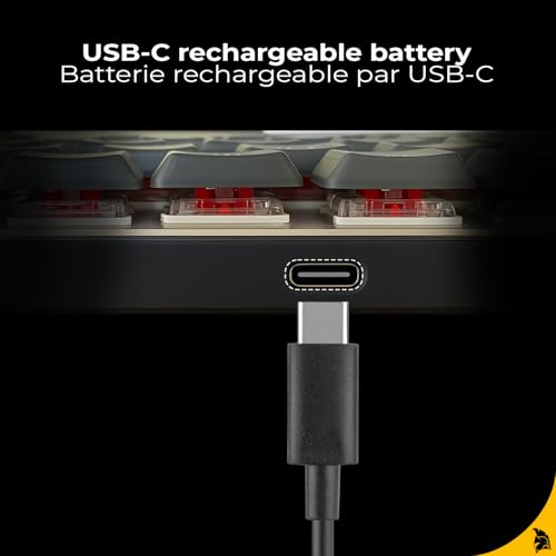 RF241 - Tastiera da gioco meccanica compatta senza fili ricaricabile FR(AZERTY), tripla modalità (2,4 GHz, Bluetooth, USB-C), 69 tasti MX Red, RGB, NKRO, compatibile con PC, Mac e - Tastiera gaming - Immagine 5