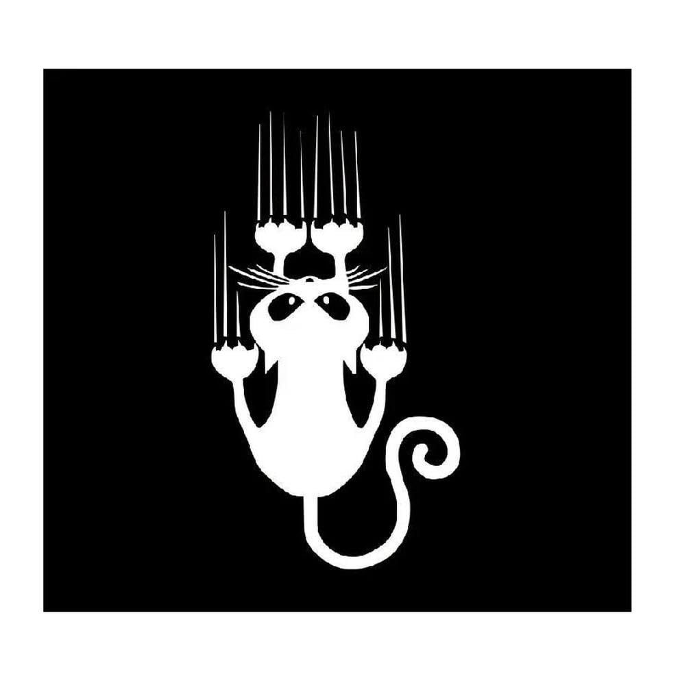 Car Sticker 7.5x15cm Reflective Laser Vinyl Decal for Bumper Motorcycle Window(White)