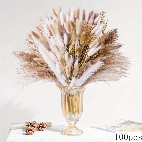 Pampas Grass Large Natural Pampas Bunny Rabbit Tails miniatura 2