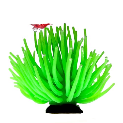 Image of CTWPets Fluorescent Aquarium Decor - Glowing Fish Tank Ornament for Freshwater & Saltwater | Safe for Betta, Shrimp, & Tropical Fish | Includes Collector Card (Green, Large)