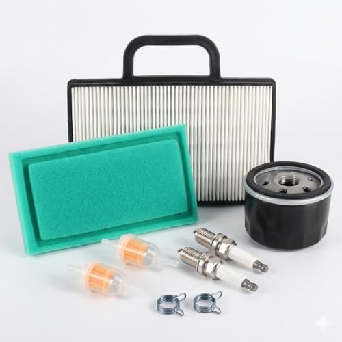 LT1000 Air Filter Oil Filter Kit