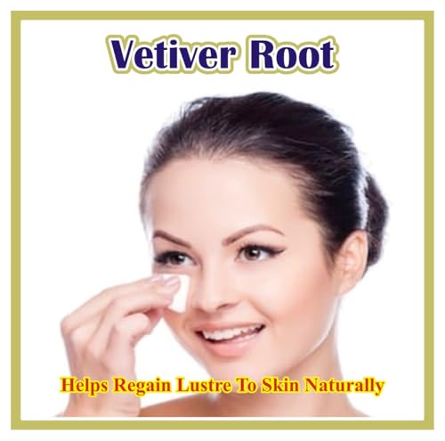 Image of Natural Dried Vetiver Roots (Khus ki Jad), 50g | Organic Lavancha Roots for Gut Cooling, Maintain Body Heat, Skin Hydration