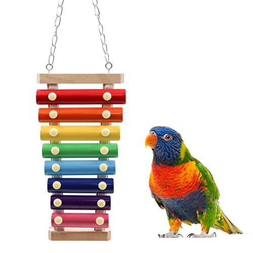 Dnoifne Colorful Bird Xylophone Toy, Suspensible Funny Xylophone Toy with 8 Metal Keys, Bird Cage Toy Accessories for Chicken Bird Parrot Parrot Parakeet Budgies Love Birds