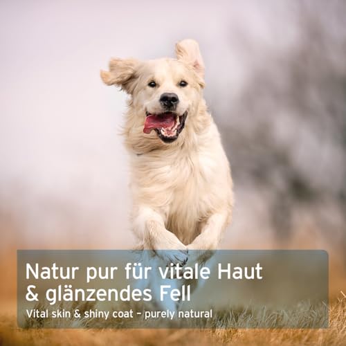 AniForte Fellpflege für Hunde & Katzen Fellharmonie Vitalpulver 250g - Natürlich für glänzendes Fell & Vitale Haut, unterstützt Stoffwechsel & Immunsystem