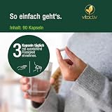 VITACTIV Multi Green Life - Green Food Multivitamin Präparat - Natur Komplex 100 Nährstoffe - Vitamin C, D, E, B Vitamine - Mineralien, Enzyme, Omega3, Vitalpilze, Probiotika, Superfood - 90 Kapseln