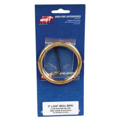Brass Bull Rings Sharp Piercing Style Lockable Screw Livestock 3X5/16 inch