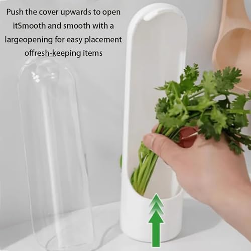 Image of JAYMUKESH & CO. Fresh Herb Keeper for Fridge | Airtight BPA-Free Herb Storage Box, Transparent Container Keeps Coriander, Mint, Cilantro & Parsley Fresh Longer (1 Pc)