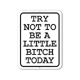 Honey Dew Gifts, Try Not to be a Little Bitch Today, 9 inch by 12 inch, Metal Sign Post, Wall Signs for Home Decor, Funny Sign, HDG-1453