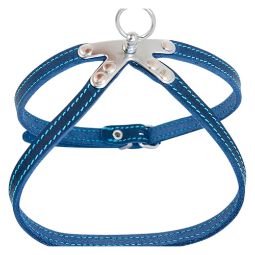 JACK AND VANILLA, Imbracatura in Pelle Robusta per Animali Domestici, vestibilità Personalizzata, Facile da Usare, Elegante Colore Blu, Dimensioni: 10 x 30 cm, Comfort e Sicurezza garantiti, Modello