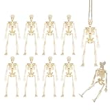 juguetes cuerpo humano educa Para todo el hogar: Ideal para decorar habitaciones infantiles, puertas, jardines y fiestas escolares. Crean un ambiente alegre sin asustar a los más pequeños.