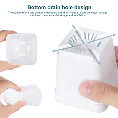 Fippy 60 Pieces Small Plastic Plant Pot 7cm, Square Plant Nursery Pots with Trays, Plant Seedling Pot - Image 4
