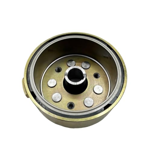 Rotor de volant magnétique 250cc pour restauration de quad JS250ATV-5