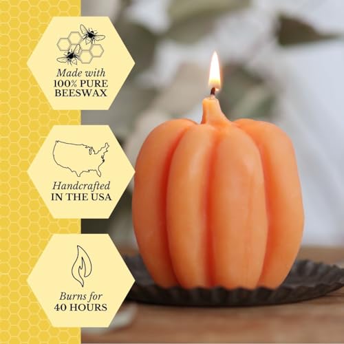 Big Dipper Wax Works Medium Light Orange Pumpkin Candle, 25-Hour Long Burn, Pure Beeswax Sculpted Candle, 3” x 3.25”, Fall Candle Big Dipper Wax Works Medium Light Orange Pumpkin Candle, 25-Hour Long Burn, Pure Beeswax Sculpted Candle, 3” x 3.25”, Fall Candle