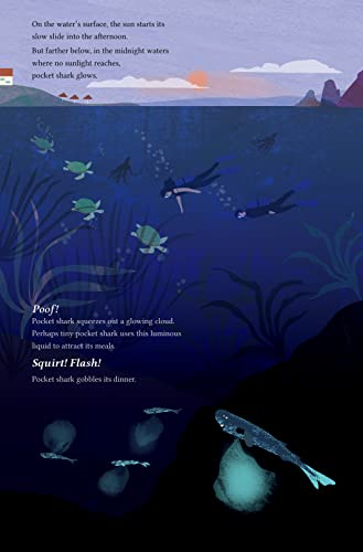 Lights On!: Glow-In-The-Dark Deep Ocean Creatures