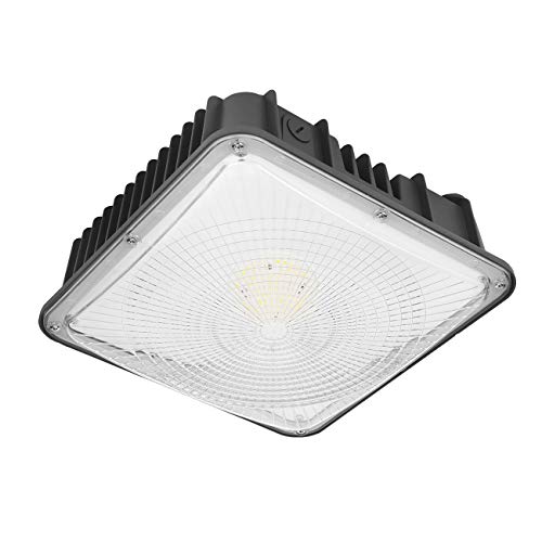 LED Canopy Light 80W, 9600lm, 100-277VAC, ETL Listed, 5000K Daylight White, IP65 Waterproof, 10.4