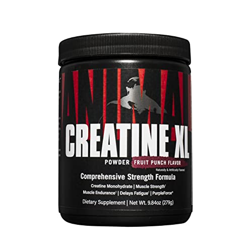 Animal Creatine XL Powder - Enhanced Pre Workout Creatine Monohydrate Supplement - Support Brain Health, Delay Muscle Fatigue, Enhance Endurance, Improve Muscle Recovery, Men and Women - Fruit Punch