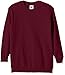 Produktbild Fruit of the Loom Jungen Regular Fit Sweatshirt SS027B, Rot (Burgunderrot), 5/6 Jahre (Herstellergröße: 104cm)