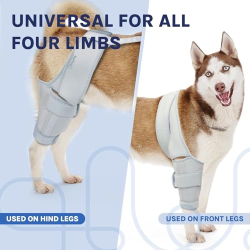 Image of Dog Knee Brace for Torn ACL Hind Leg, Acl Brace for Dogs Rear Leg, Relieves Joint Pain, Support Back Leg with Arthritis Pain, Size: Large(10.2-13.3)