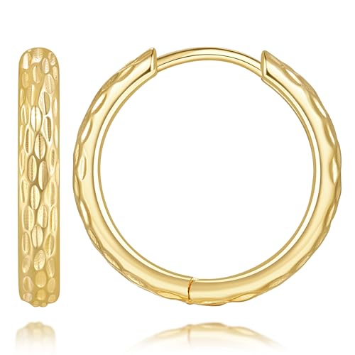 Gold Hoop Earrings for Women 14K Gold Earrings for Women Trendy Spiritual and Sparkling Fish Scale Print Small Hoop Earring for Womens