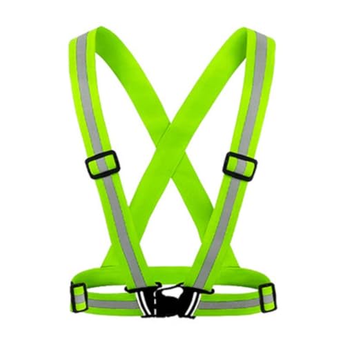 [Dea Bona] xXg `bL Px  u V_[ S xg H ʌx EH[LO WMO jO U TCNO  Lk \ (1, O[)