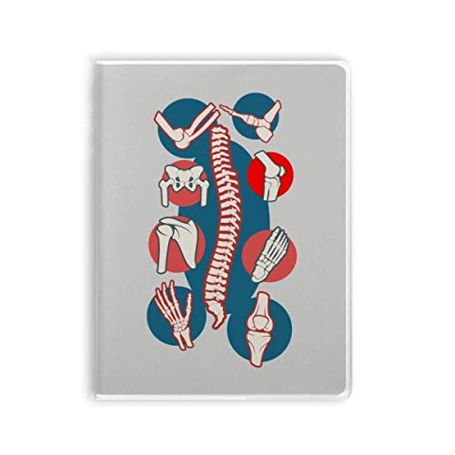 Carnet de notes corps vertébral souple pour dessiner et étudier l'anatomie humaine