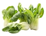 1100 Dwarf Pak Choi, Bok Choy Seeds - Delicious Chinese Vegetable