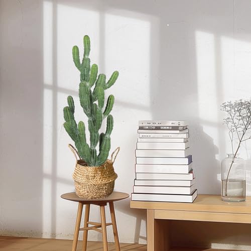 Yuwinron YR-MY1508 Artificial Cactus Plant 32 Inch Faux Desert Cacti Fake Cactus Potted Plant thumb #4