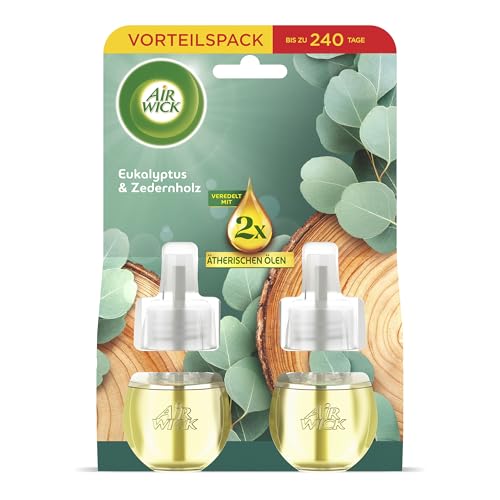 Air Wick Duftstecker Nachfüller – Duft: Eukalyptus & Zedernholz – Holziger Raumduft für die Steckdose – 2x 19ml Duftölflakon-Nachfüller