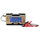 ACDelco(エーシーデルコ) パルス&マイコン制御 全自動バッテリーチャージャー 6V/12V共用 AD-2001