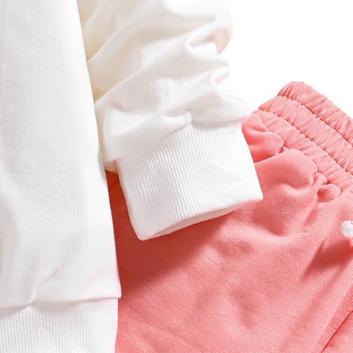 Image of Nivne Tco Toddler Girls Clothes Set - 2 Piece Cartoon Print Round Neck Sweatshirt & Sweatpants - Girls Spring Fall Outfits
