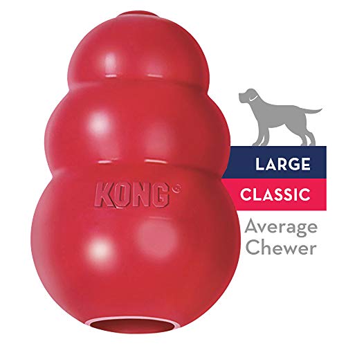 kong classic large