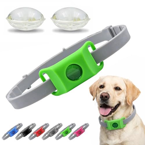 BauPaw™ Collare Antiparassitario, 100% Naturale per Cani, Impermeabile, Misura Regolabile per Ogni Taglia(verde)