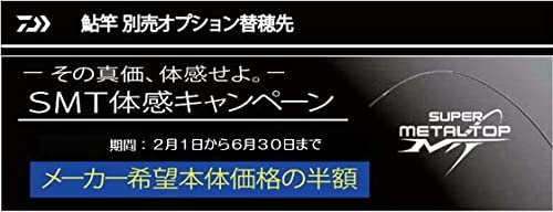 Amazon | 【SMT体感キャンペーン】ダイワ 2023 銀影ｴｱ MT 専用 SMT替