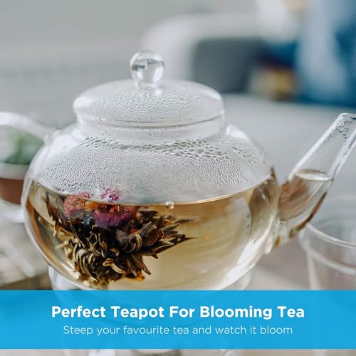 GROSCHE-MONACO-42-oz-Glass-Tea-pot-with-glass-tea-Infuser-1250-ml-Capacity-Heatproof-borosilicate-glass-and-all-glass-tea-infuser-for-all-types-of-loose-tea-tea-infusion GROSCHE MONACO 42 oz Glass Tea pot with glass tea Infuser 1250 ml Capacity Heatproof borosilicate glass and all glass tea infuser for all types of loose tea tea infusion