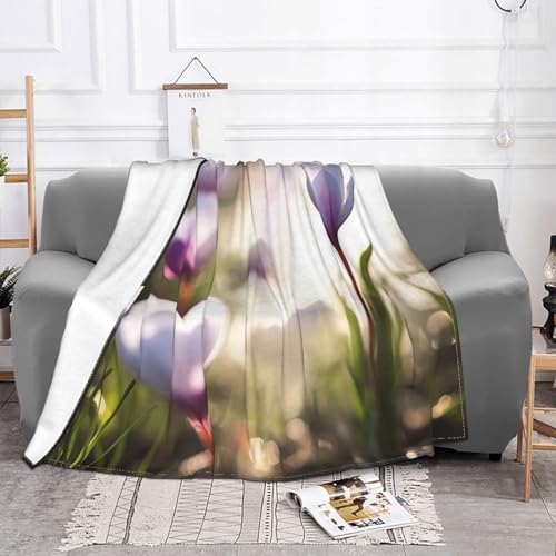 Couverture microfibre OUSIKA en micro polaire haut de gamme 150x127 cm - 3