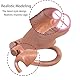 AMAZBEE Third Generation Peniskäfig Set Mit 4 Hahnkäfig Sprengring,Herren Keuschheitskäfig Bondage Klein Wirklichkeitsgetreu Dildo Peniskäfig Harz 3D Männer Cock Cage Sex Spielzeug für die Männer (M)