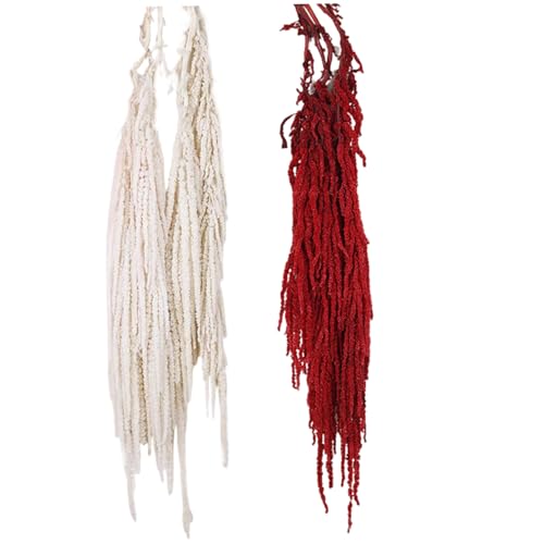 Ramo de Flores Secas Amaranthus 60-80 cm Rojo miniatura 7