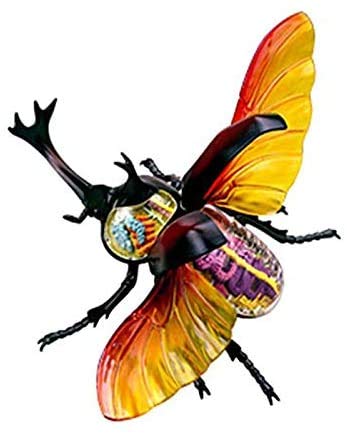 Anatomisches Modelltier, Hirschkäferorgan, Anatomisches Modell - Didaktisches Modell für biologische Insekten in 21 Teilen