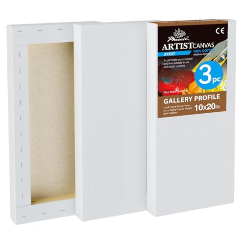 PHOENIX 10x20 Inch 3 Pack Long Gallery Canvas 1.5 in Thick