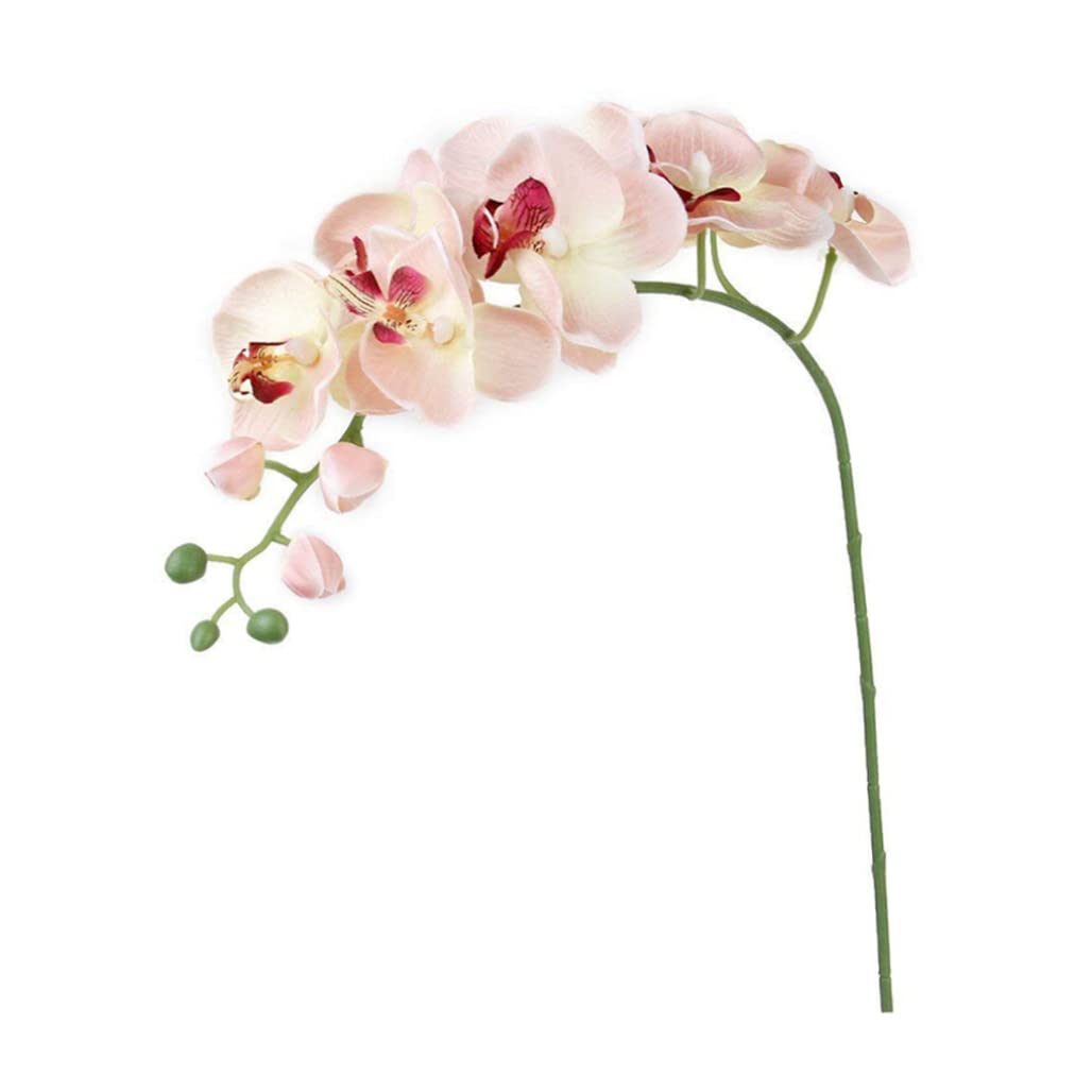 Hoveeluty Colorful Artificial Orchid Flower Stem Fake Silk Phalaenopsis Real Touch Simulation Butterfly Orchid Artificial Orchid For Wedding Fake Butterfly Orchid Flowers Orchid Centerpieces Flowers Simulation Phalaenop