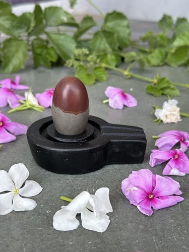 Image of Shivam VASTU AKAL 1.5 inch Original Narmadeshwar Narmada Shivling with 3 inch Narmada Stone Yoni Base Jaladhari (Mahamratunjay Shivling, Black Flate Jaladhari)