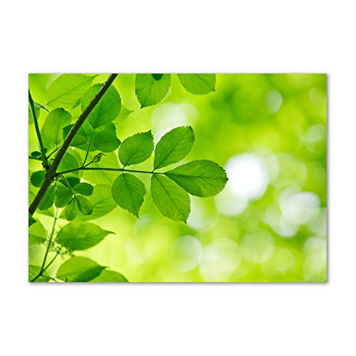 Tableau plexiglas feuilles vertes Tulup, fraîcheur et sérénité