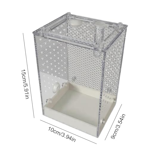 Criadero de grillos y arañas desmontable para evitar escapes en casa 6