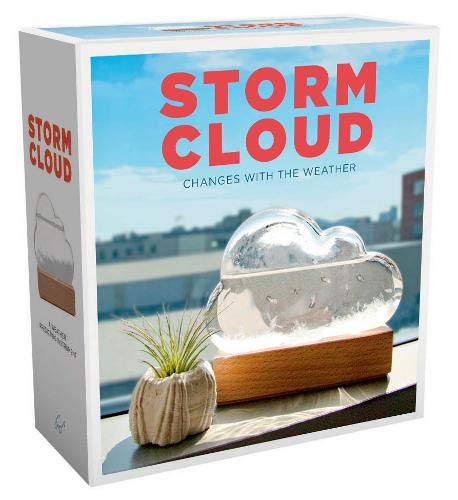 Storm Cloud: A Weather Predicting Instrument (Weather Predictor, Fun Cloud-Shaped Barometer)