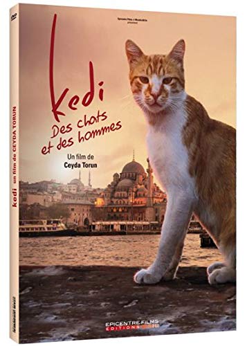 Kedi - Des chats et des hommes le DVD du documentaire culte sur les félins d'Istanbul